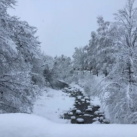 Linde Hopfgarten im Brixental