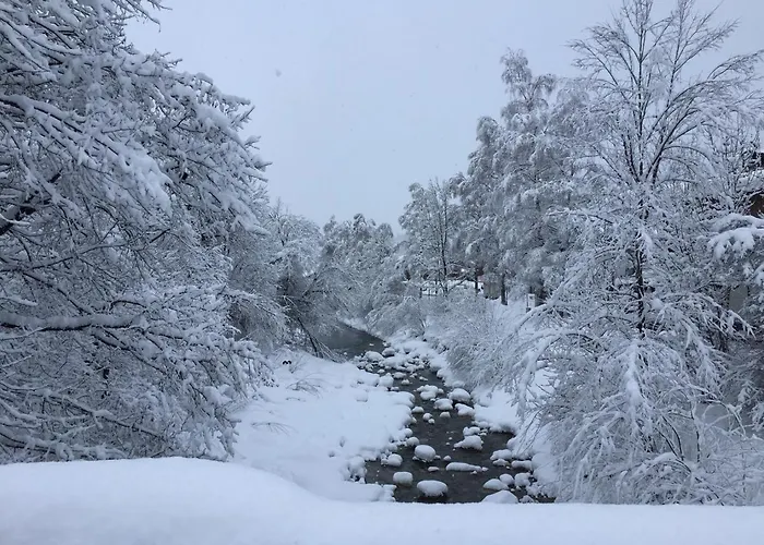 Linde 布里克森谷地霍普夫加尔滕